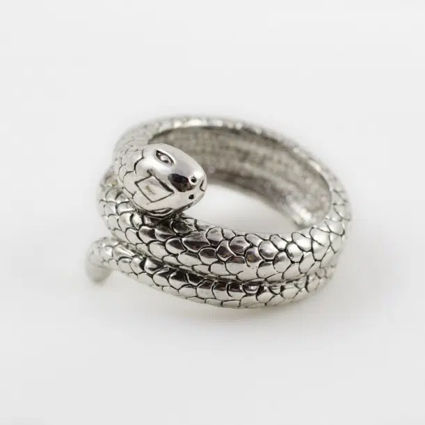 bague serpent homme ou femme