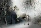 Démystifier l'énigme quelle est la couleur du cheval blanc d'Henri IV