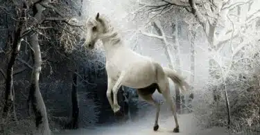 Démystifier l'énigme quelle est la couleur du cheval blanc d'Henri IV